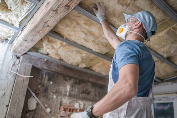 Best Cellulose Insulation in Melbourne, AR